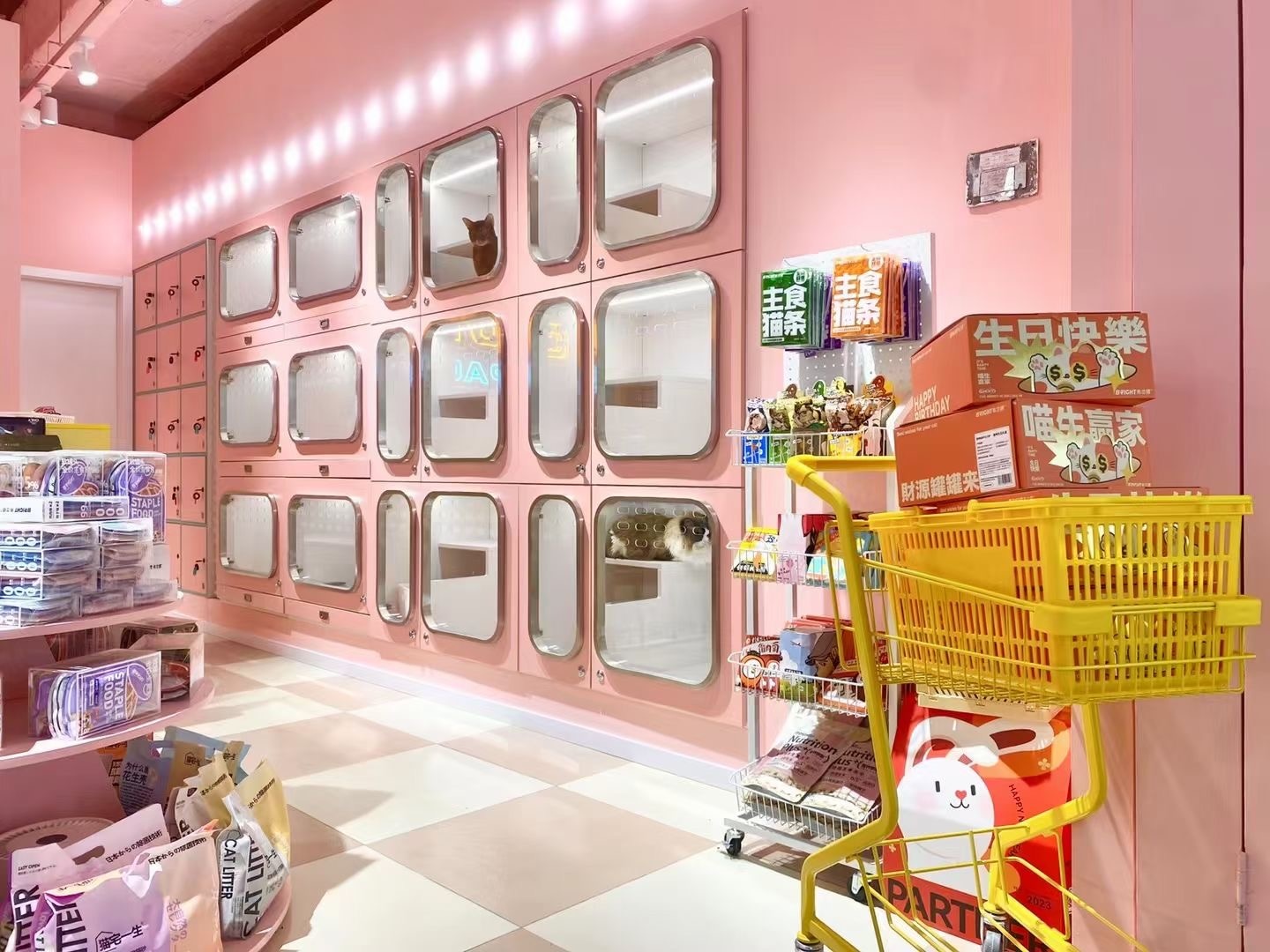 杭州寵物店裝修設計：洗護區與寄養空間規劃及氣味管理實戰